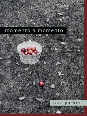 cover image of Momento a momento